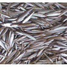 استخر غذاهای دریایی یخ زده بو می دهد